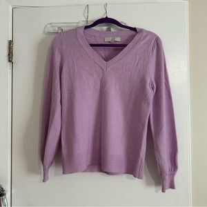 loft purple v neck sweater